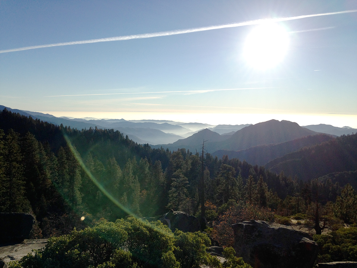 The Court Tour x Travis Knight | Sequoia National Forest