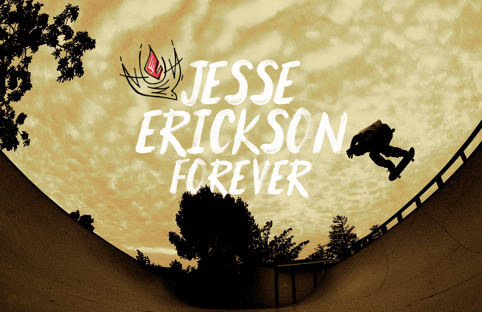 Jesse Erickson